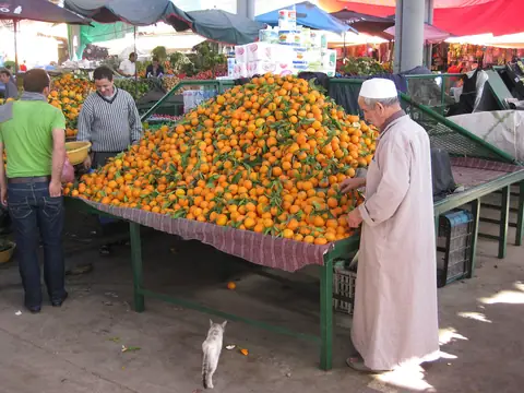 Oranges piled high at a market stall in Agadir